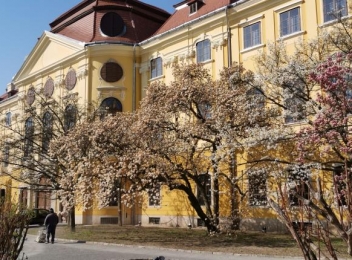  Grădina Palatului Episcopal din Oradea, o frumusețe în această perioadă