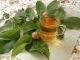 Ceaiul din frunze de nuc: Beneficii pentru organism