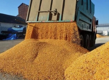 Boloș, în contextul cerealelor ucrainene: Trebuie să înăsprim măsurile de tranzitare a țării