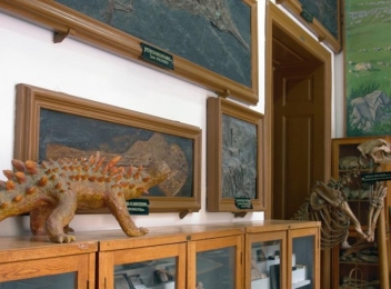 Expoziție interesantă la Muzeul de Paleontologie-Stratigrafie din Cluj