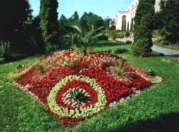 Gradina Botanica din Cluj, un peisaj plin de culoare!