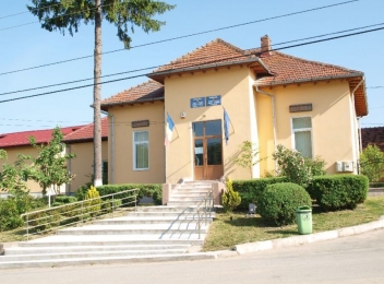 Consiliul local comuna Vladesti