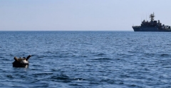 Marea Neagră, blocată de mine. Dîncu: S-a discutat deja de operațiuni de deminare