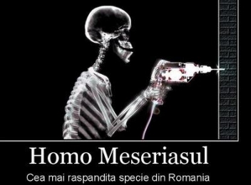  Homo Meseriasul
