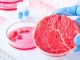 Carnea sintetică și produsele obținute din ea ar putea să NU fie comercializate în România