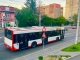 Transportul public din Pitești se regăsește pe Google Maps