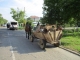 La Focșani vor fi interzise căruțele și vehiculele neînmatriculate