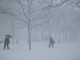 AVERTIZARE: Cod roșu de ninsoare și viscol în Buzău, Brăila și Vrancea