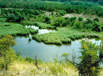 Rezervația Hagieni, oaza de verdeață din apropierea orașului Mangalia