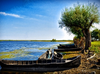 După 15 iunie se vor putea achiziționa online permise de acces în Delta Dunării