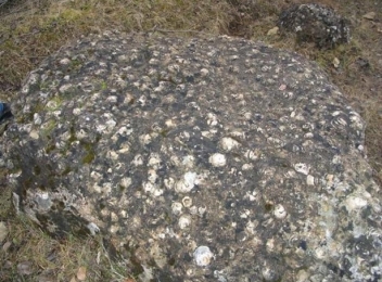 Locul fosilifer Ohaba-Ponor