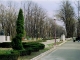 Primăria Bacău încearcă din nou să închirieze mai multe loturi de teren în Parcul Cancicov