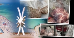 ANPC a descoperit tone de carne expirată de 3 ani, în lanțul unui operator economic de pe litoral