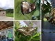 Casa de fluturi exotici de la Praid, o atracție turistică neobișnuită