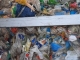 Peste 38 de tone de deșeuri din Germania au fost întoarse de la graniță