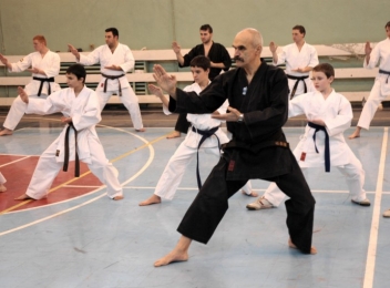 Club de karate SEISHIN BACAU