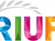 RIUF – Cel mai mare târg internațional de universități