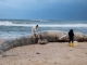 Israelul a închis plajele mediteraneene după un dezastru ecologic