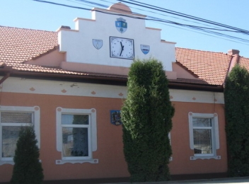 Consiliul local comuna Foieni