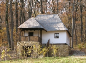 Casa din Vlădești, una dintre cele mai importante atracții ale Muzeului Astra din Sibiu