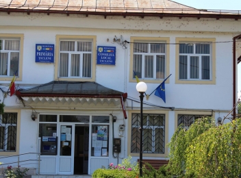Un consilier local din Țicleni spune că în ședințe se votează proiecte care nu există