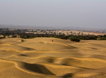 Dunele de nisip din jurul localității Dăbuleni - Sahara Olteniei