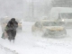 Codul roșu ne bate la ușă! ANM a emis avertizare de ninsori abundente și viscol puternic pentru sud-estul României