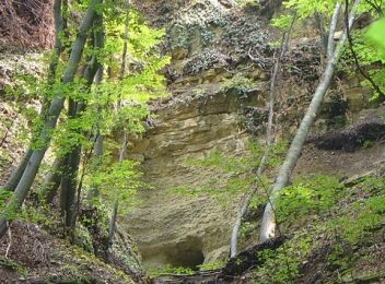 Peștera Vălenii Șomcutei, rezervație naturală în Maramureș