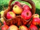 Dieta cu mere: slabesti 4 kg in 5 zile