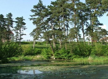 Rezervația naturală Pârâul Peta - unică în România